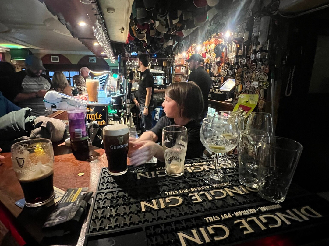 The Dingle Pub-丁格尔必去景点