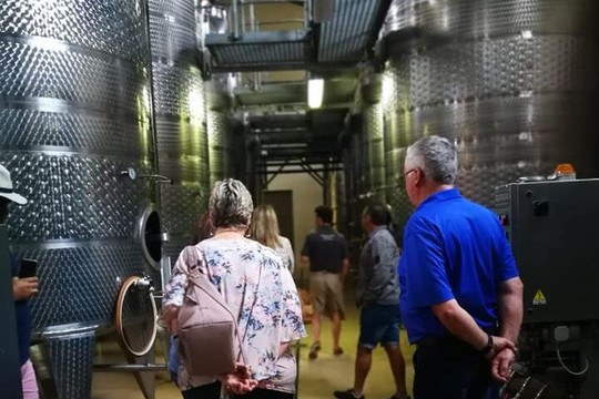 Vine Root Tours-斯泰伦博斯必去景点