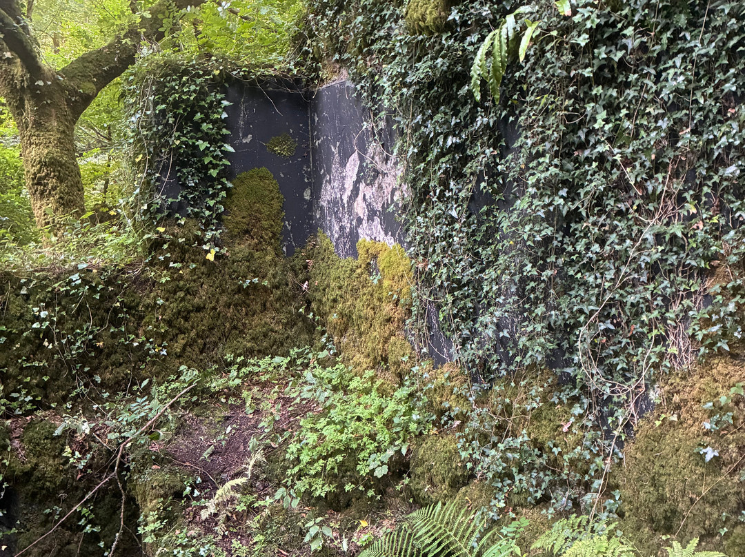 Kennall Vale-Ponsanooth必去景点