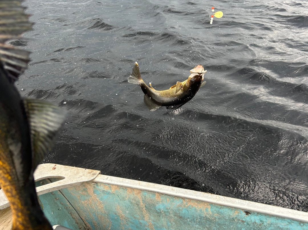 Cochrane Air Services-Cochrane必去景点