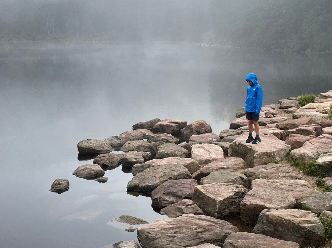 Berghof Gruner Baum主图