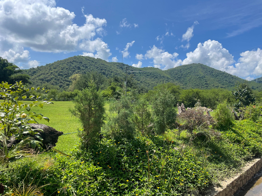 Las Jaras Aguas Termales主图