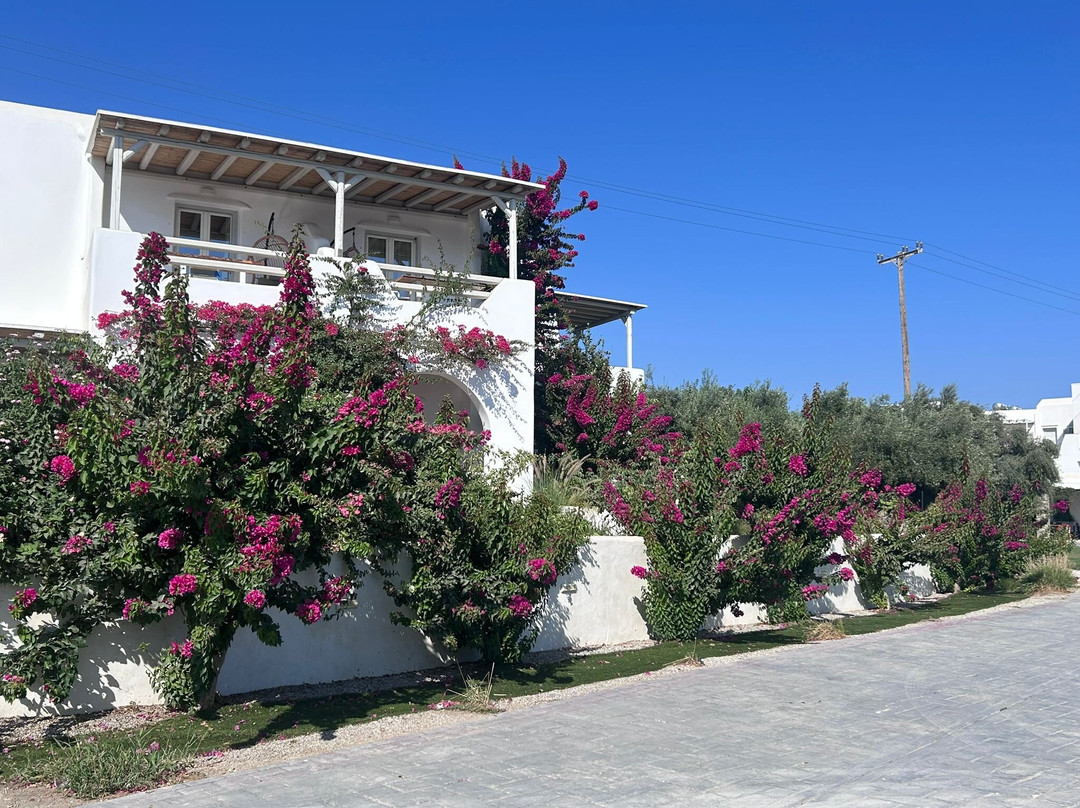 Birikos Hotel Studios & Apartment主图