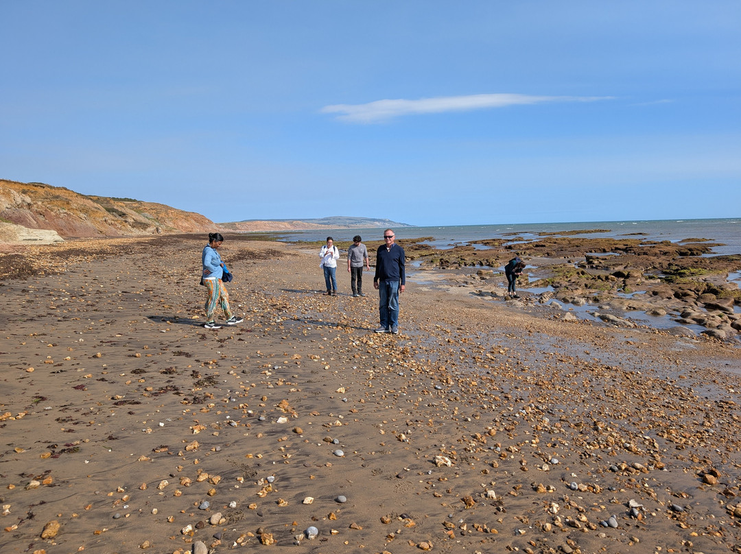 Isle of Wight Fossil Walks- Wight Coast Fossils-文特诺必去景点