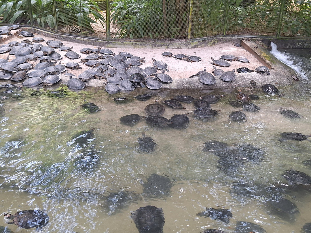 Museu Paraense Emílio Goeldi-贝伦必去景点