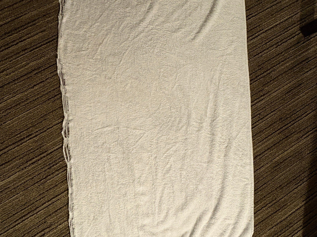 Holiday Inn Express & Suites Jackson by IHG主图