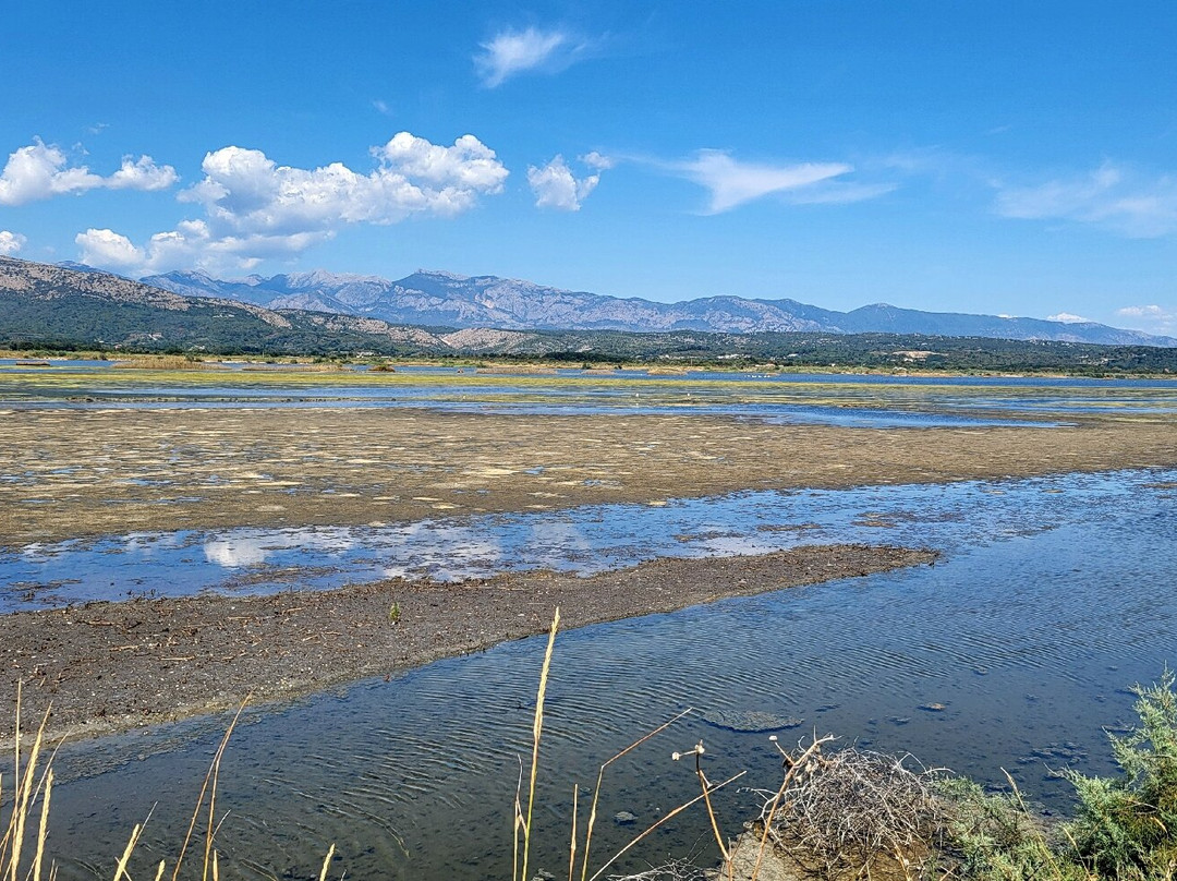 Ulcinj Salina-Ulcinj Municipality必去景点