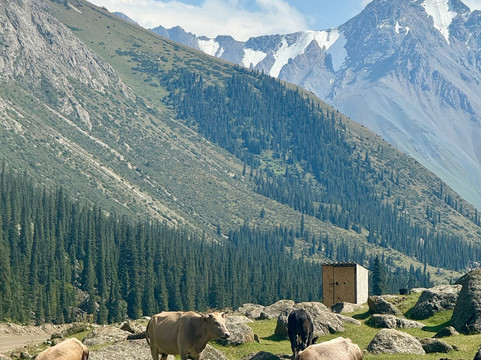 Kyrgyz Twins Adventures-比斯凯克必去景点