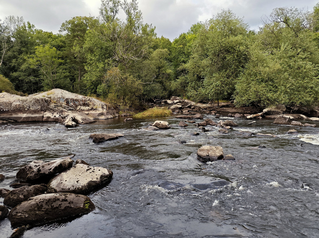 Naturreservatet Sörkvarnsforsen,-Hallstahammar必去景点