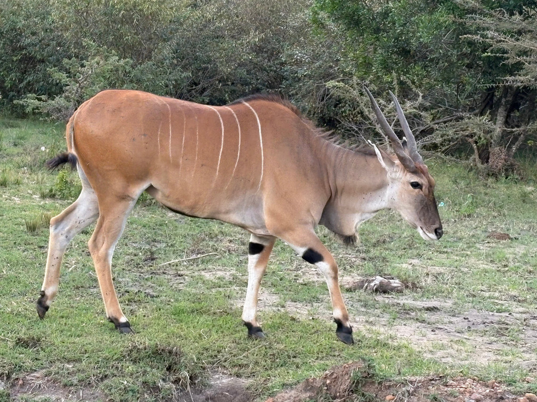 Safari Monks-Bandhavgarh National Park必去景点