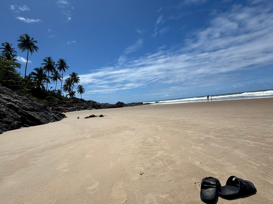Praia da Tiririca-Itacare必去景点