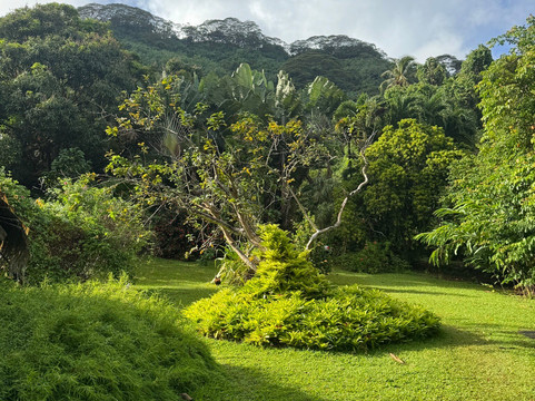 Vanilla Tours-塔哈岛必去景点
