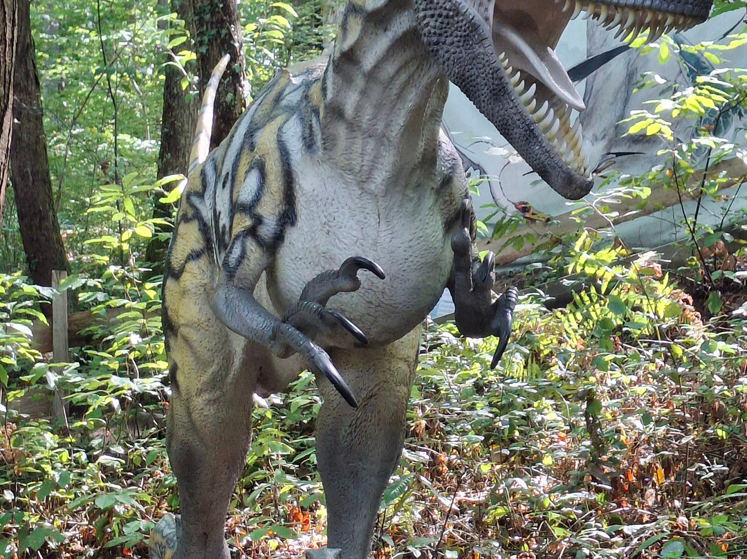 Xploria-Le Mas-d'Azil必去景点