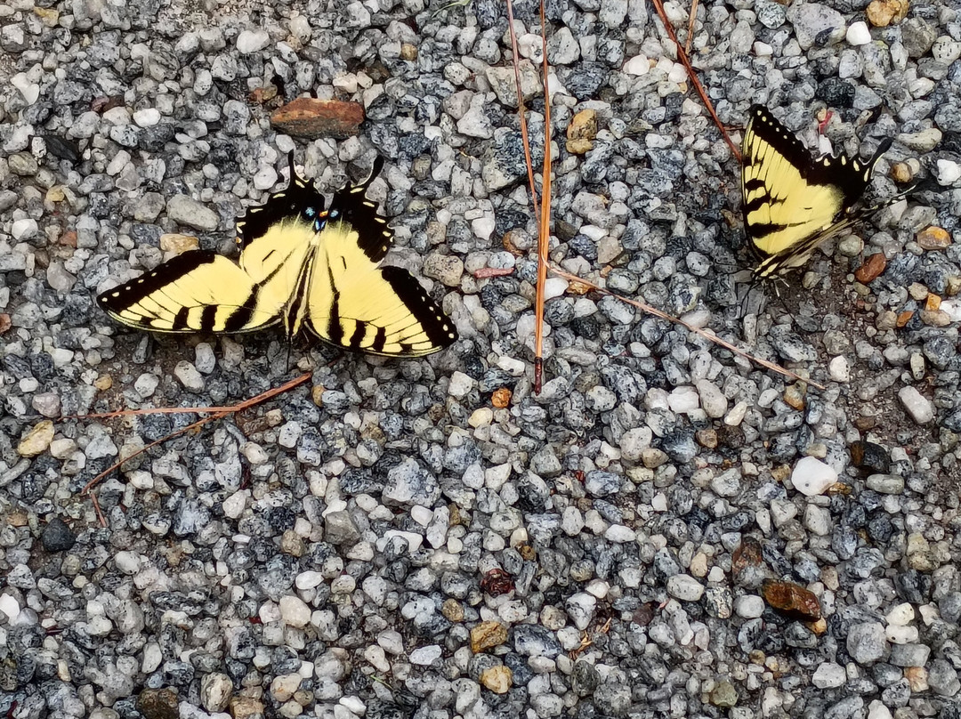 Fort Yargo State Park-Winder必去景点