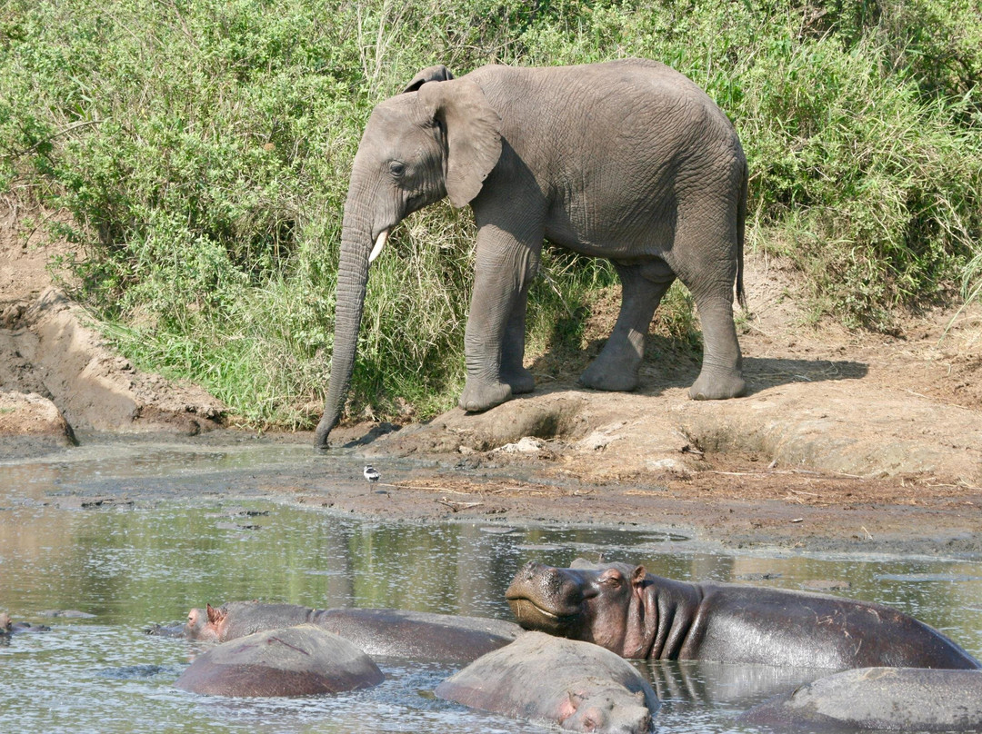 Mamnana Adventures-Olasiti必去景点