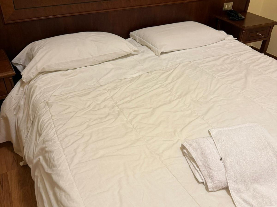 Park Hotel Paradiso主图