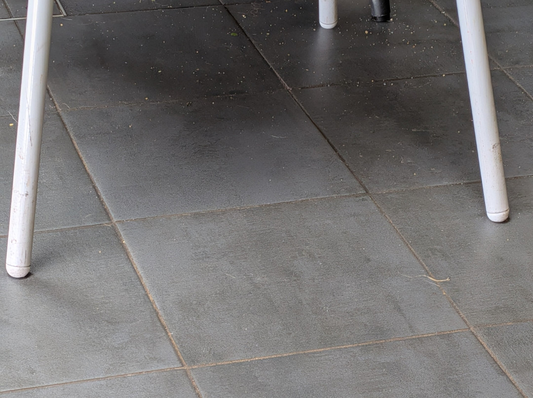 Parc Bryn Bach-Tredegar必去景点