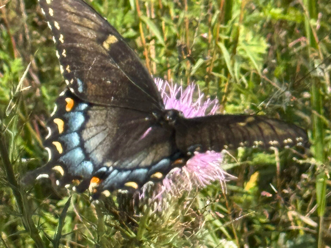 Old Stone Fort State Archaeological Park-Manchester必去景点