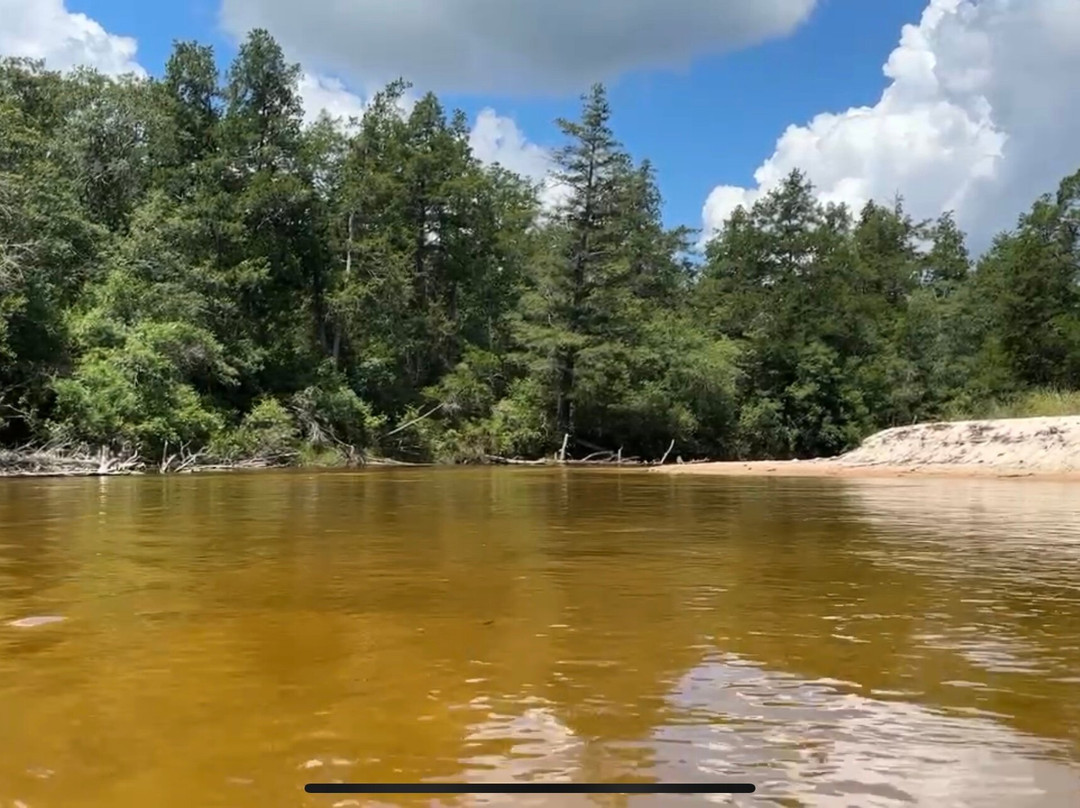 Blackwater Joe's-Holt必去景点