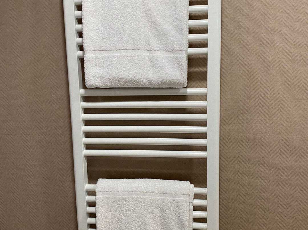 Hotel Du Commerce主图