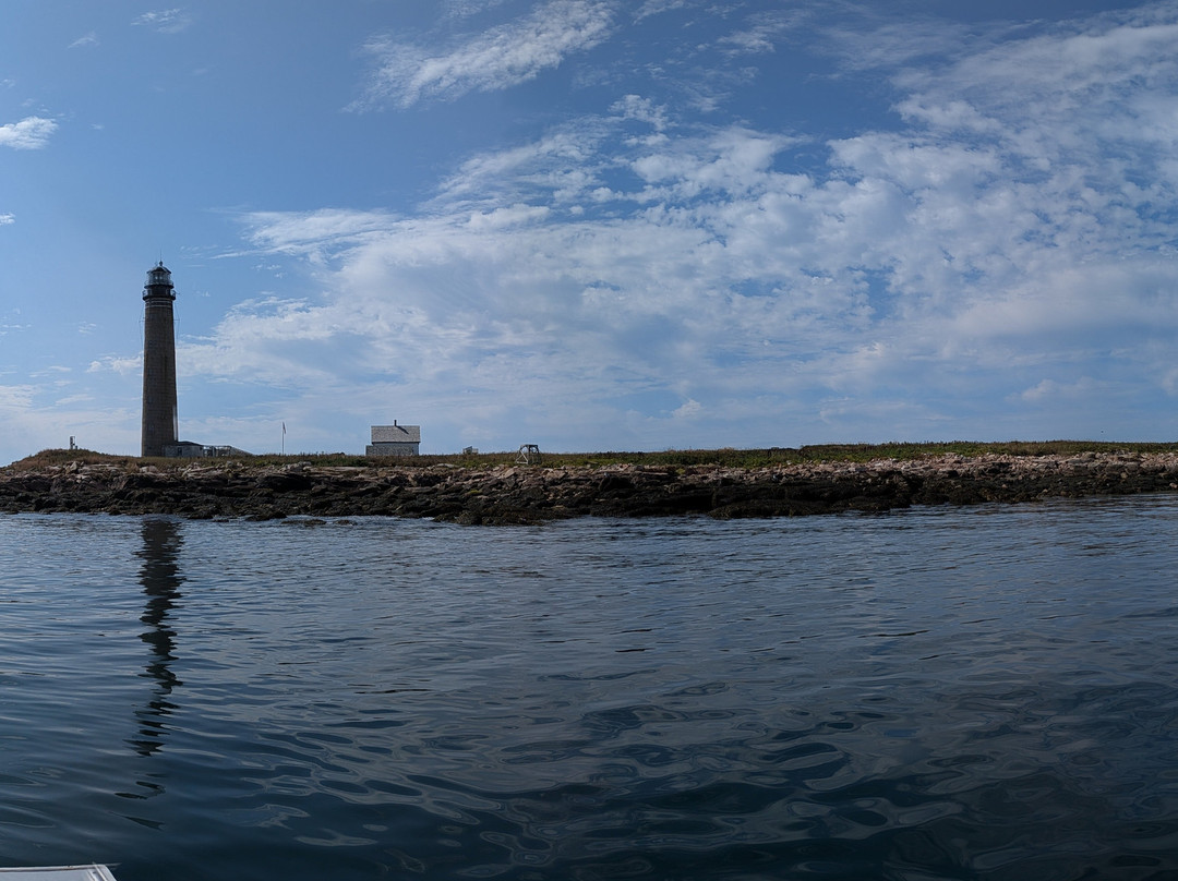 Robertson Sea Tours & Adventures-Milbridge必去景点