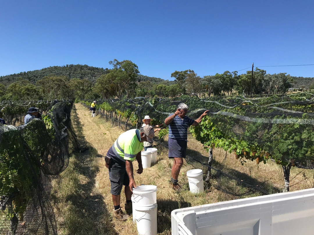 Squishedberry-波兰甸必去景点