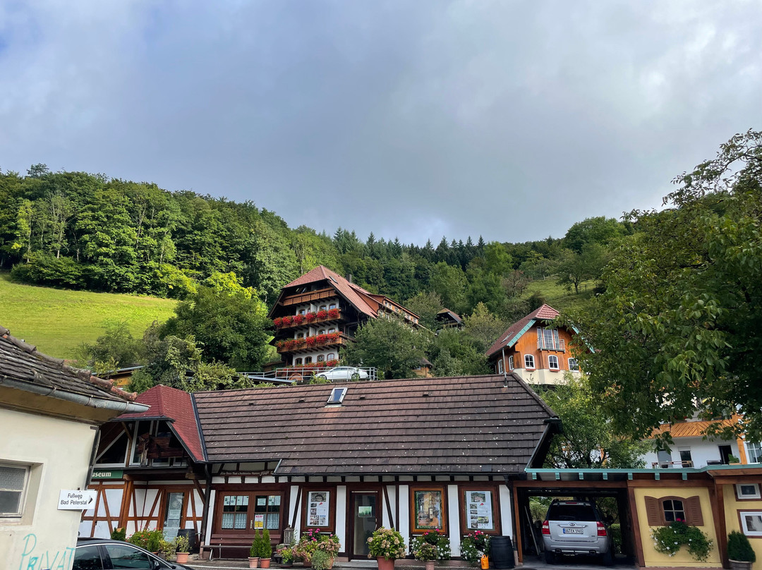 Kurparkhotel Faisst主图