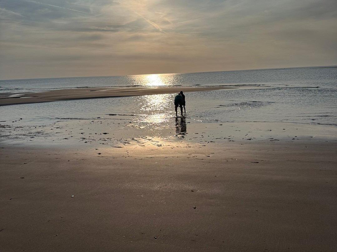 Ynyslas National Nature Reserve-Borth必去景点