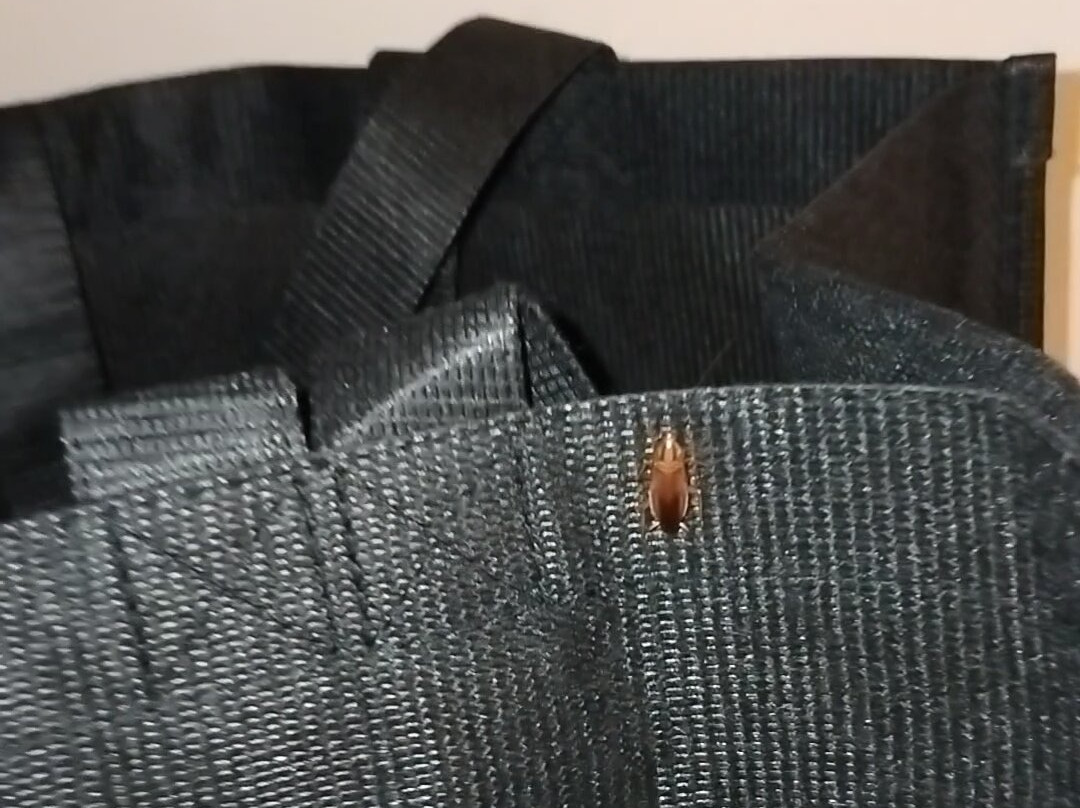 Ramada by Wyndham Surrey/Langley主图