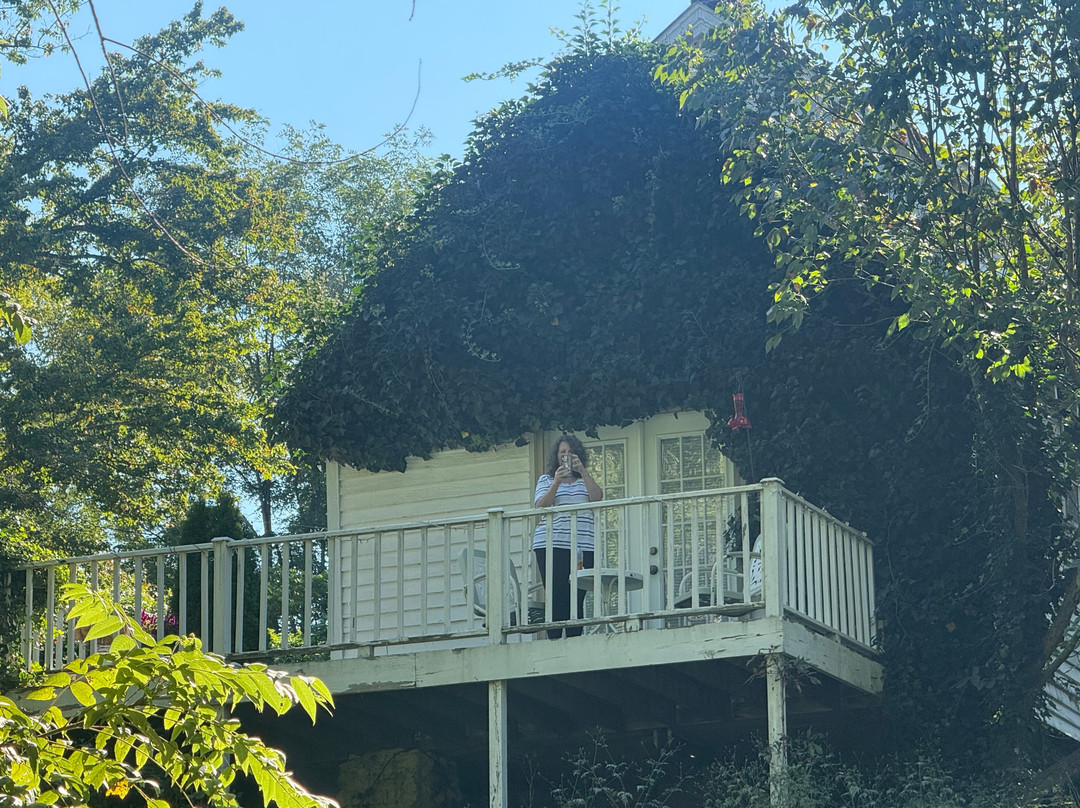 Sharp Rock Vineyards-Sperryville必去景点