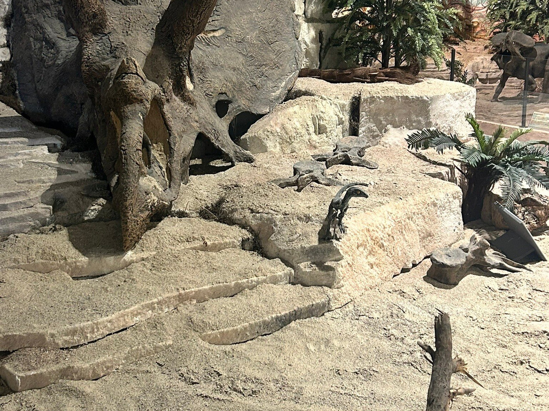 Museo Paleontologico-Magliano Vetere必去景点