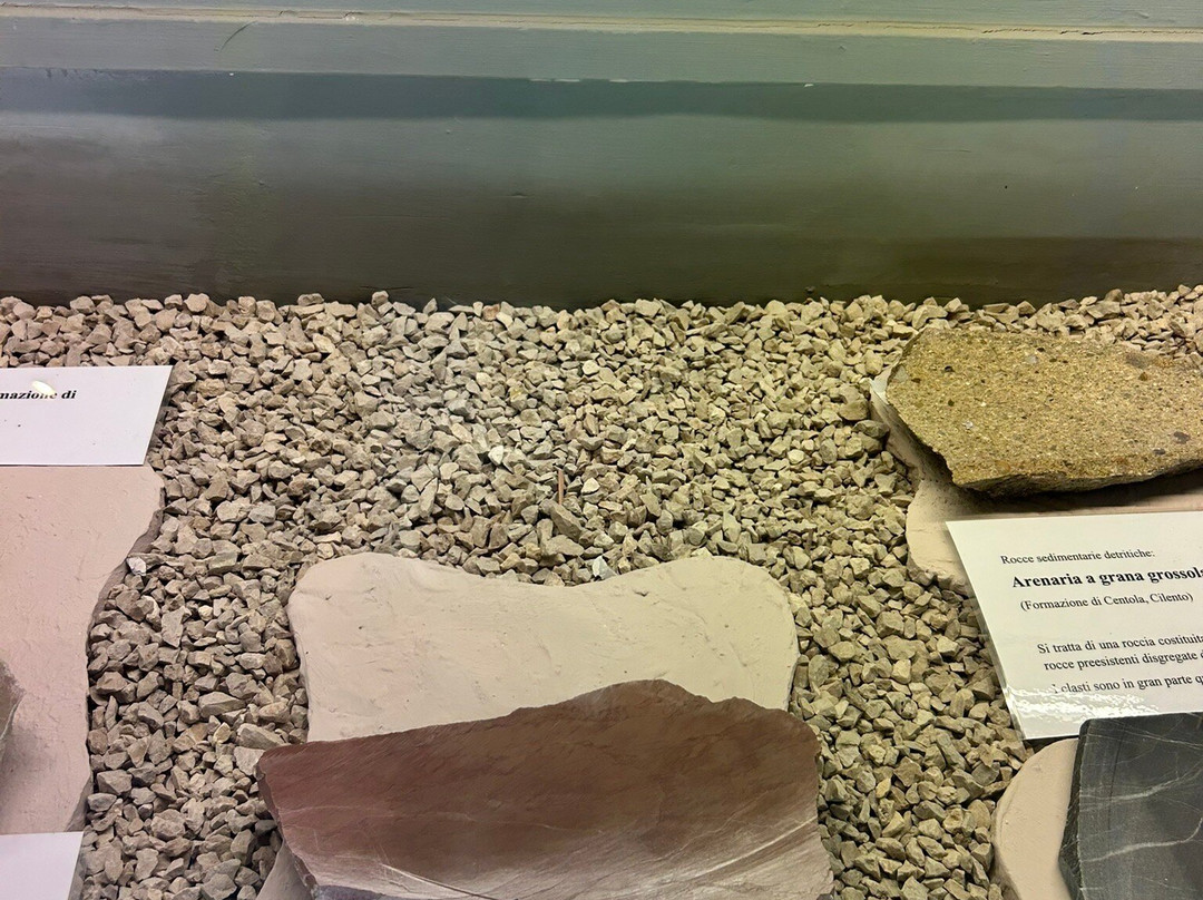 Museo Paleontologico-Magliano Vetere必去景点