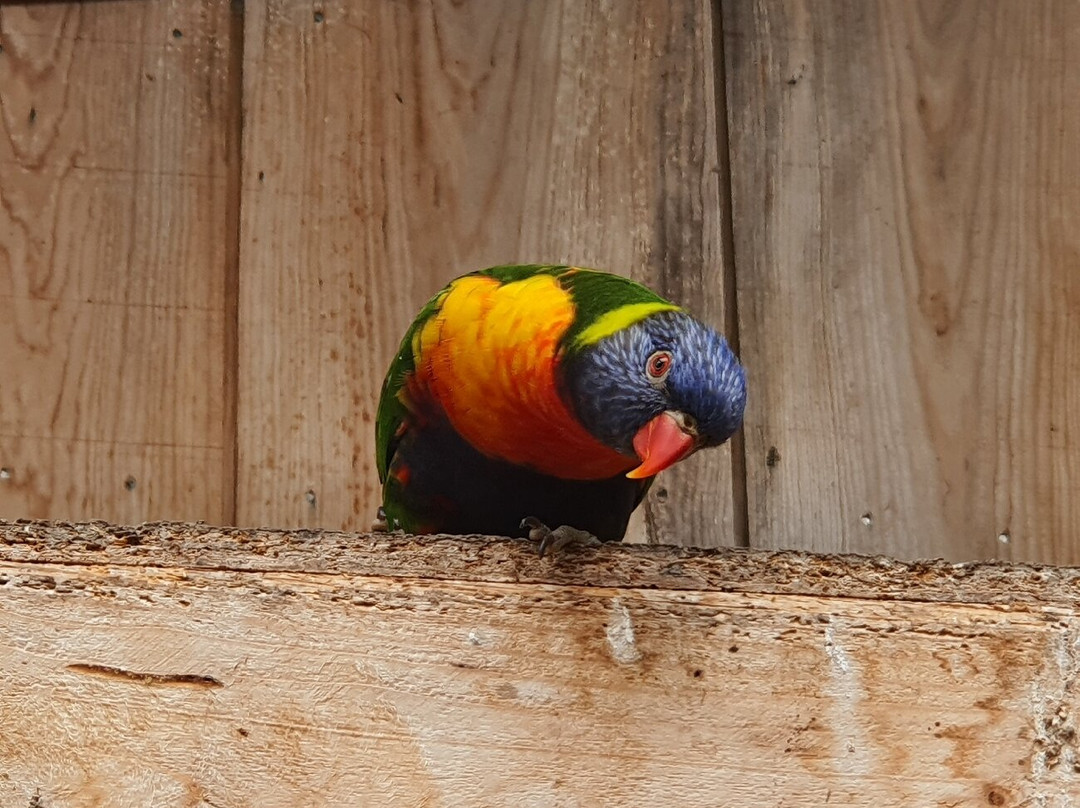 L'Ile aux Papillons-La Gueriniere必去景点