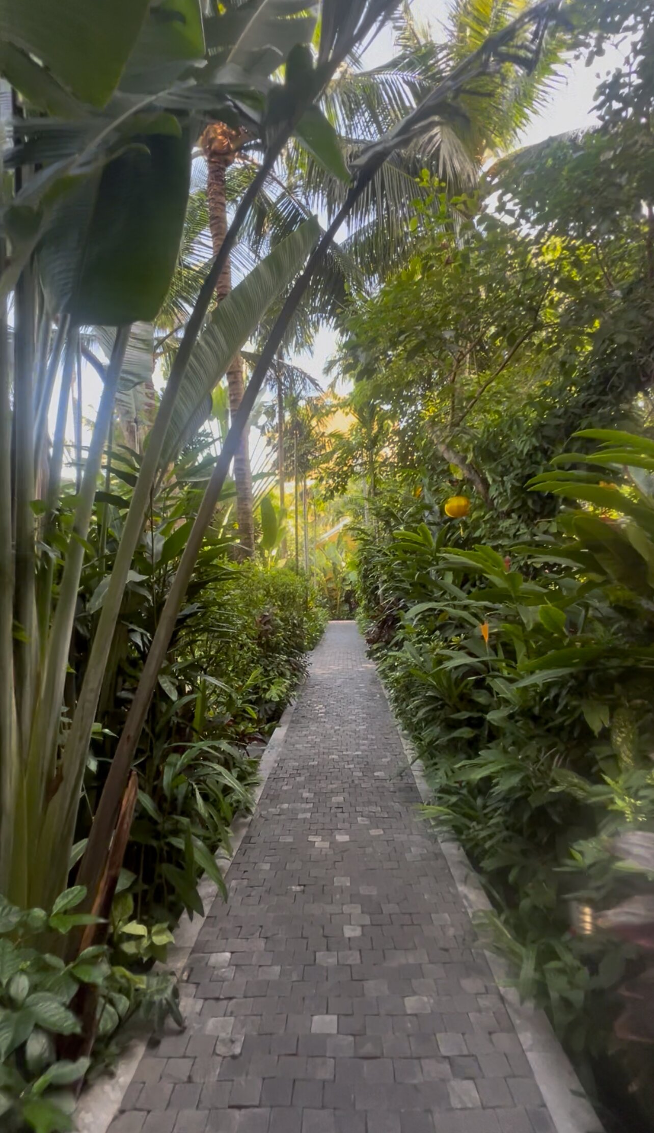 精华会安酒店和Spa-浴室