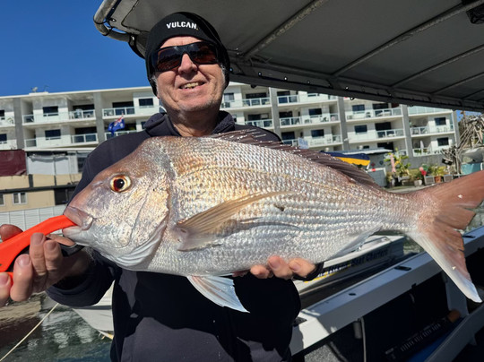 Fish Moreton-Sandstone Point必去景点