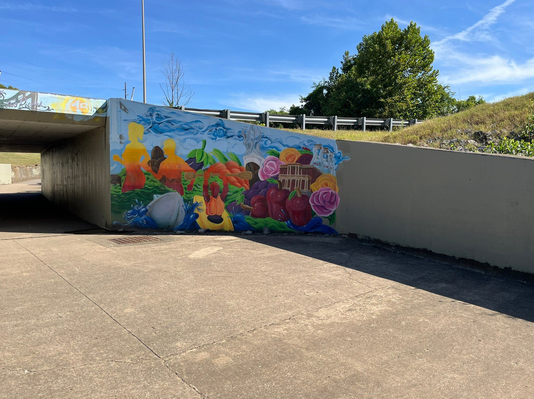 Shelby Bottoms Greenway-纳什维尔必去景点