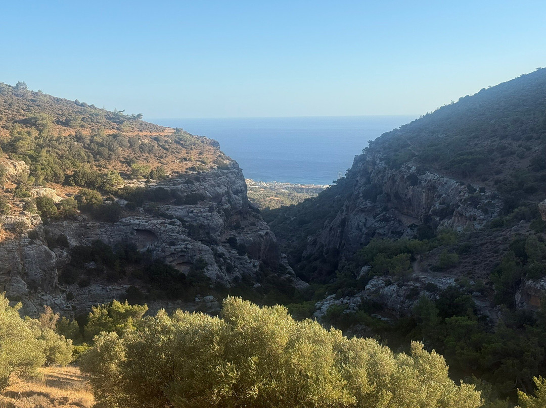 Buggy safari in Koutsouras by Rocket Adventures-Koutsouras必去景点