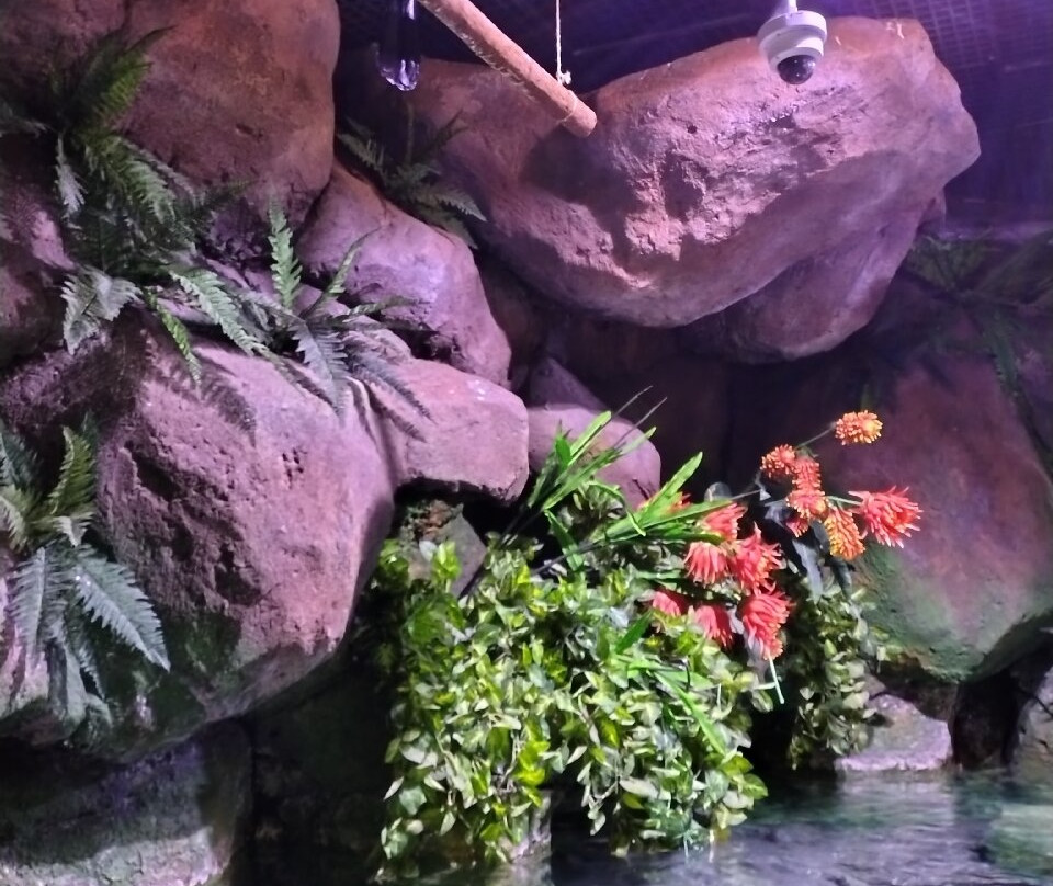 The National Aquarium Abu Dhabi-阿布扎比必去景点