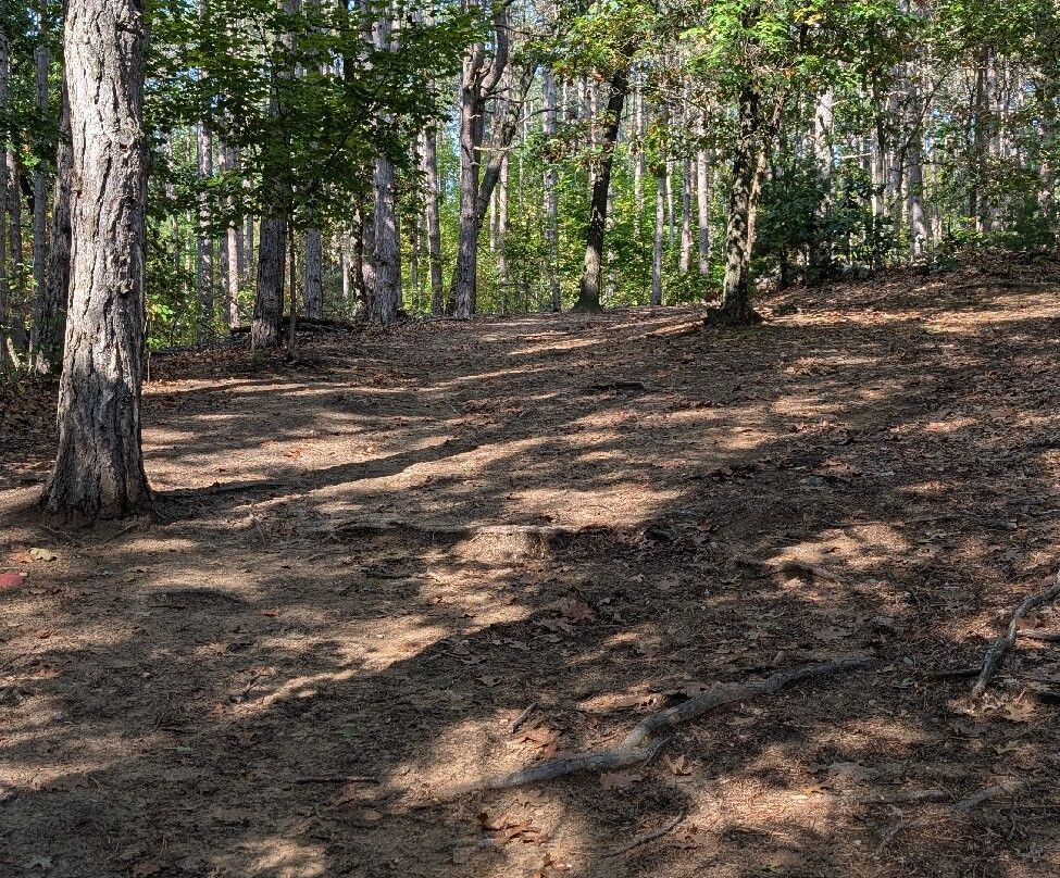 Provin Trails Park-大急流市必去景点