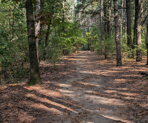 Provin Trails Park-大急流市必去景点