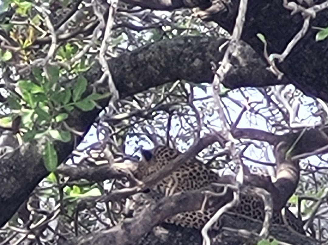 Legend Safaris-克鲁格国家公园必去景点