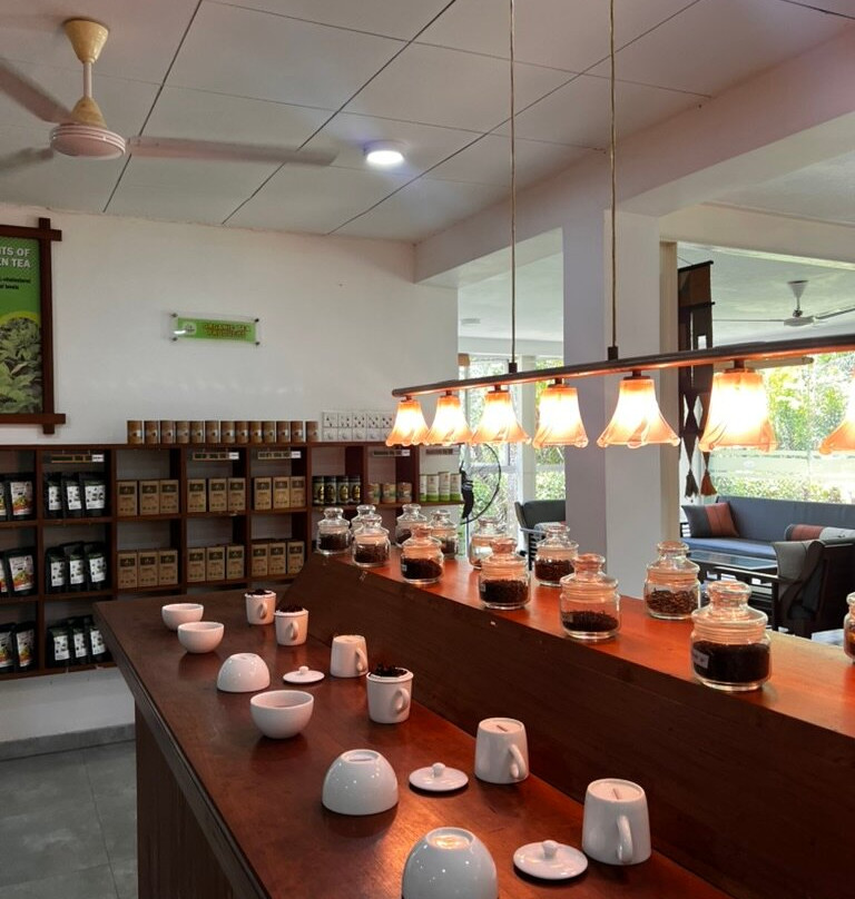 Tsara Green Teas-Akuressa必去景点