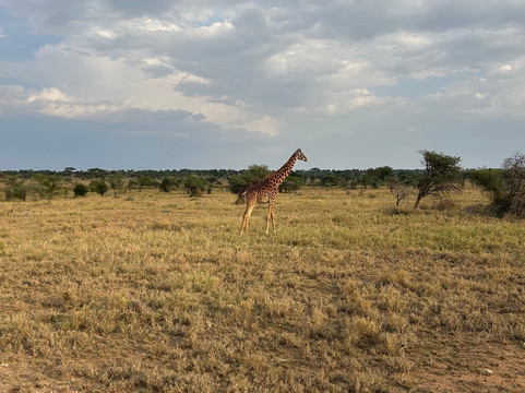 Follow Alice-莫西必去景点