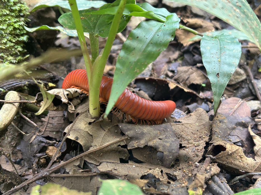 Conchal Adventures Costa Rica-孔查沙滩必去景点