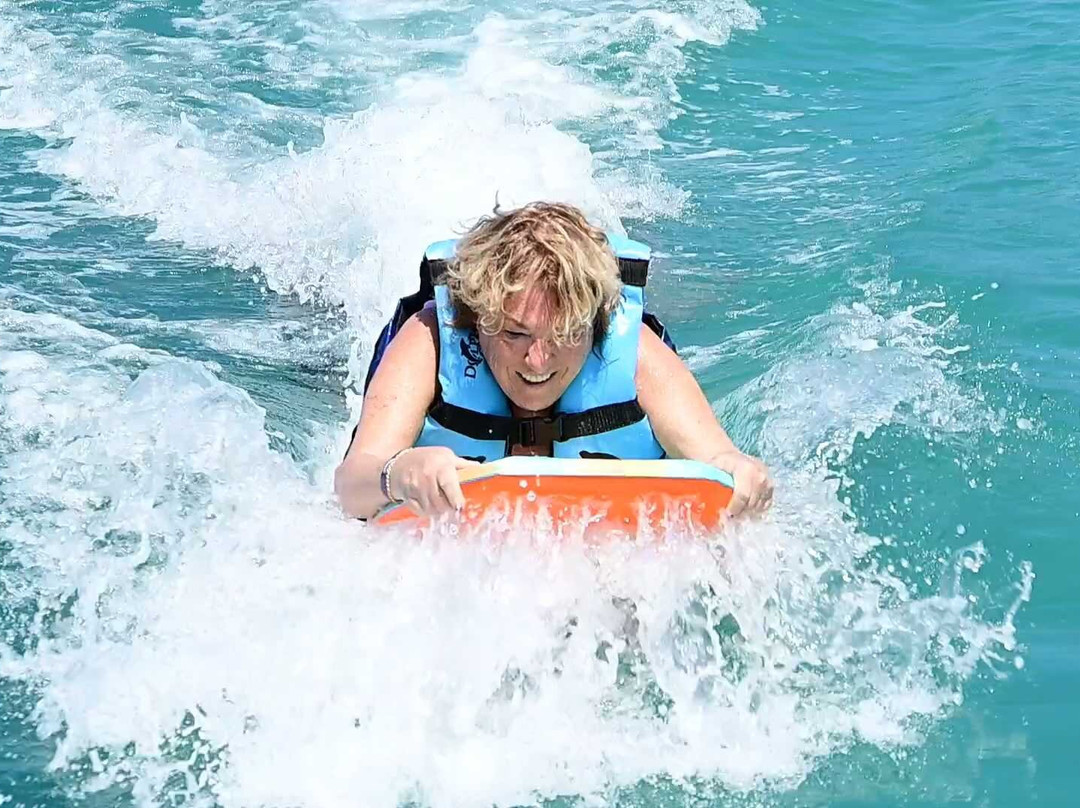 Dolphin Discovery Cozumel-考祖梅必去景点