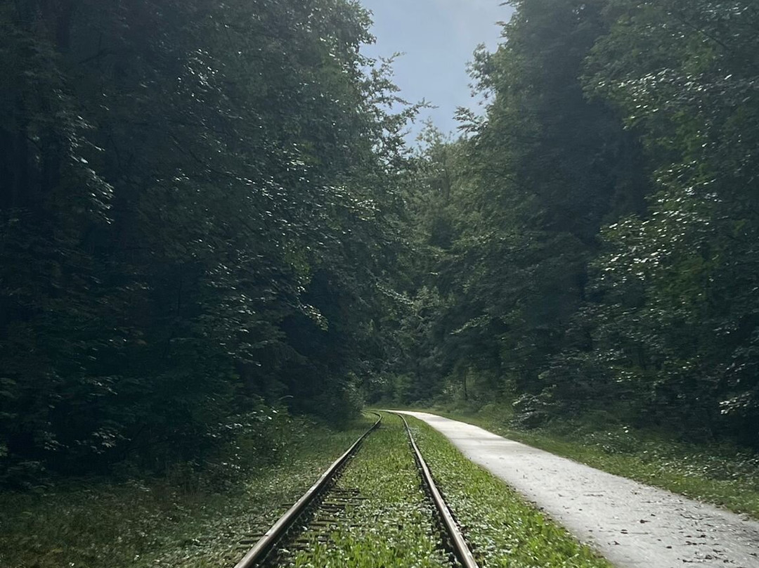 Erlebnisdraisine-Lengenfeld unterm Stein必去景点