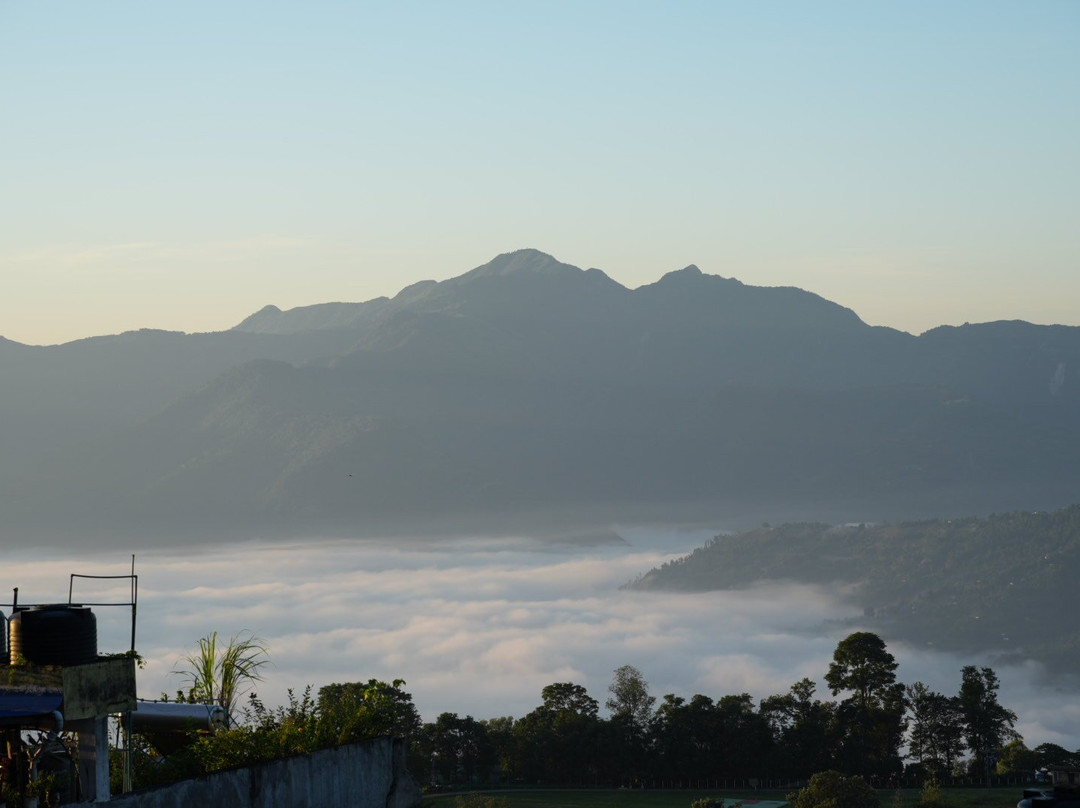 Horizon Homestay主图