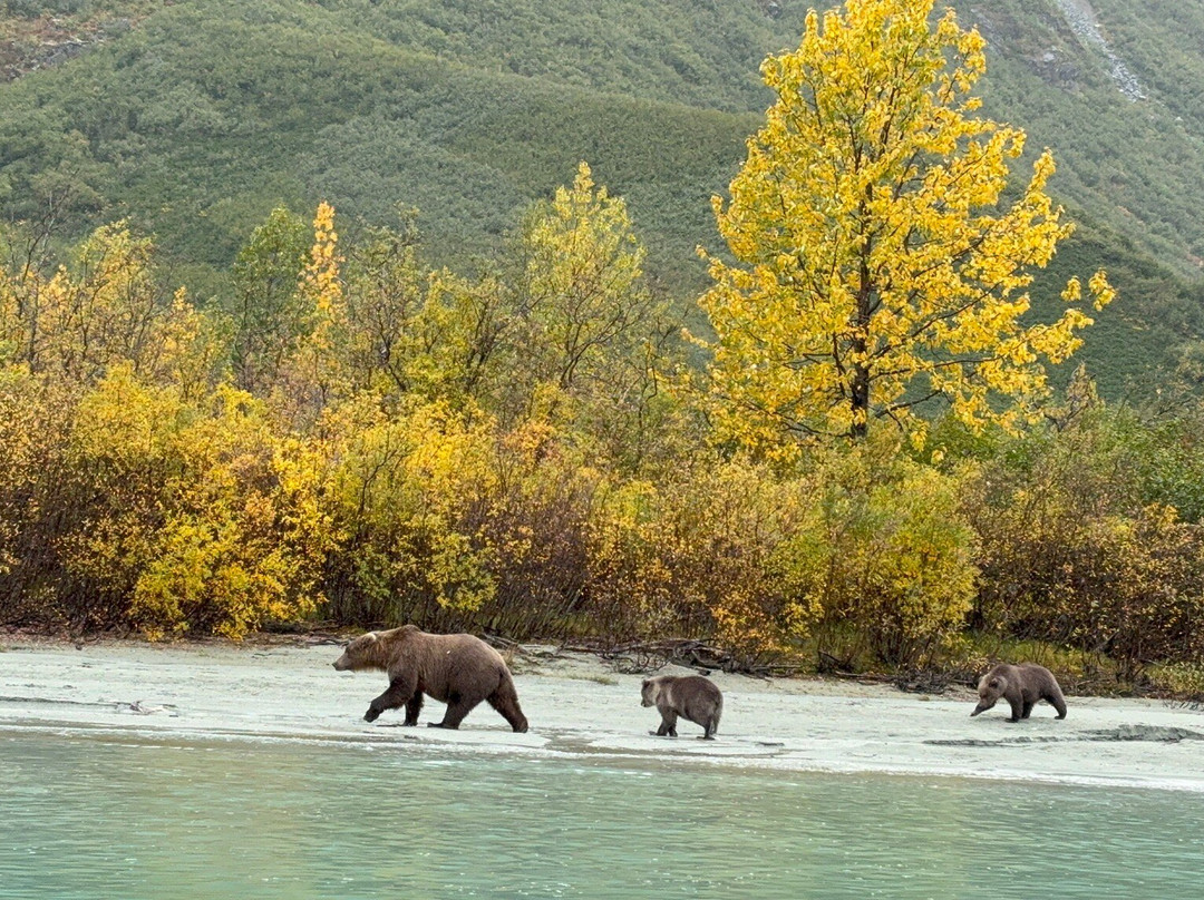 Talon Air Service-索尔多特纳必去景点