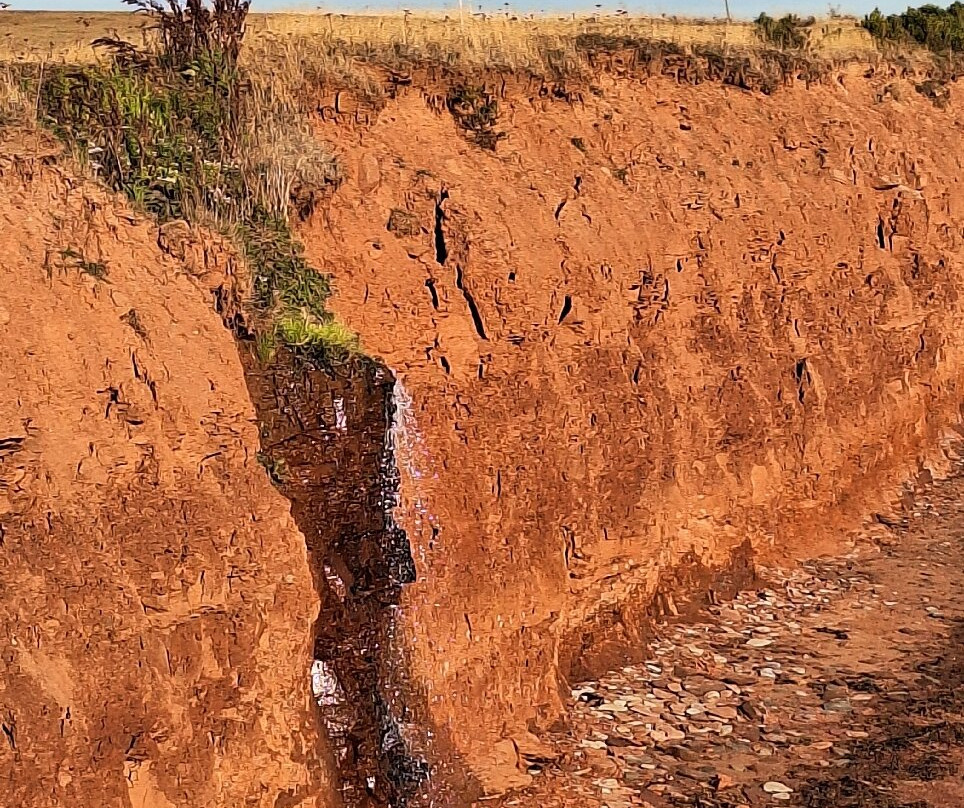 Argyle Shore Provincial Park-Bonshaw必去景点