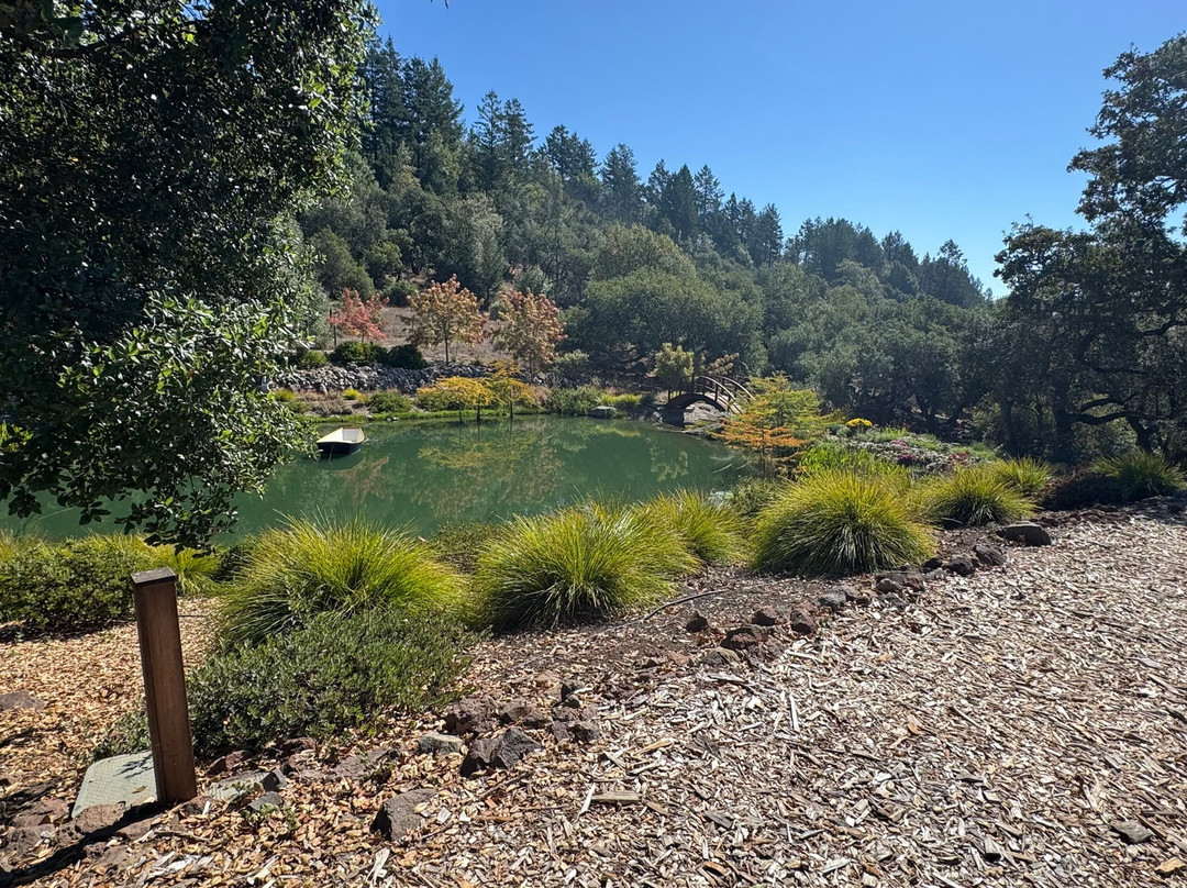 Coursey Graves Estate Winery-圣罗莎必去景点